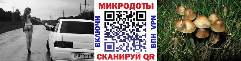 Галлюциногенные грибы Psilocybine cubensis  как найти закладки  Староминская 